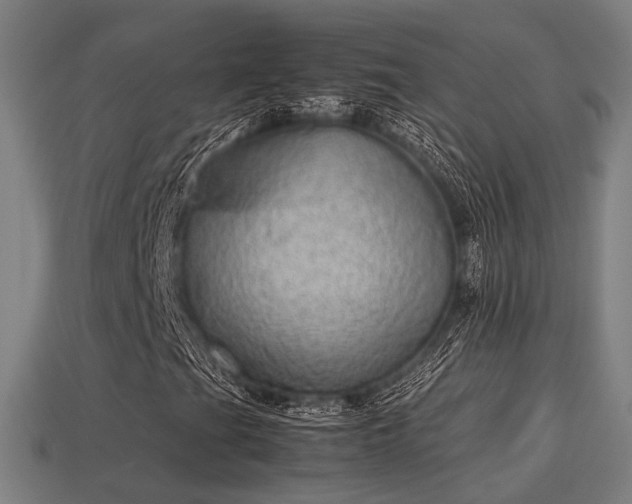 X0000113591201200909251128