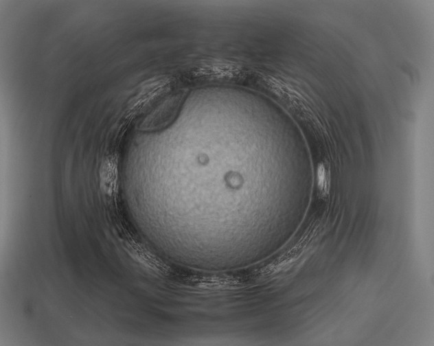 X0000113591203200909251129