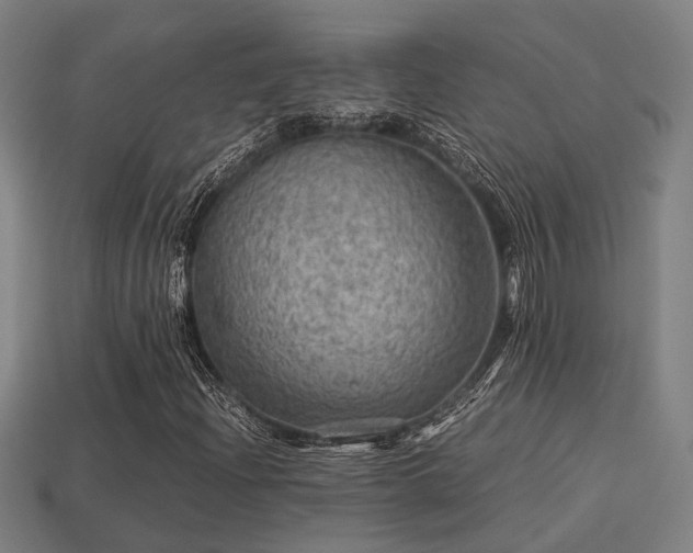 X0000113591204200909251129