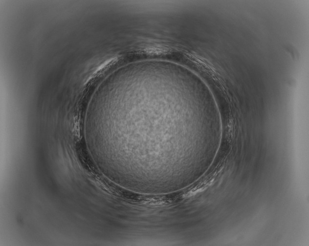 X0000113591205200909251129