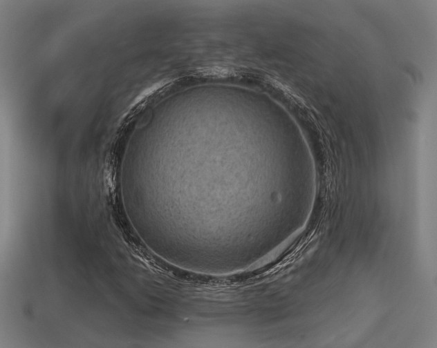 X0000113591206200909251129