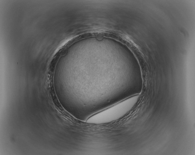 X0000113591208200909251129