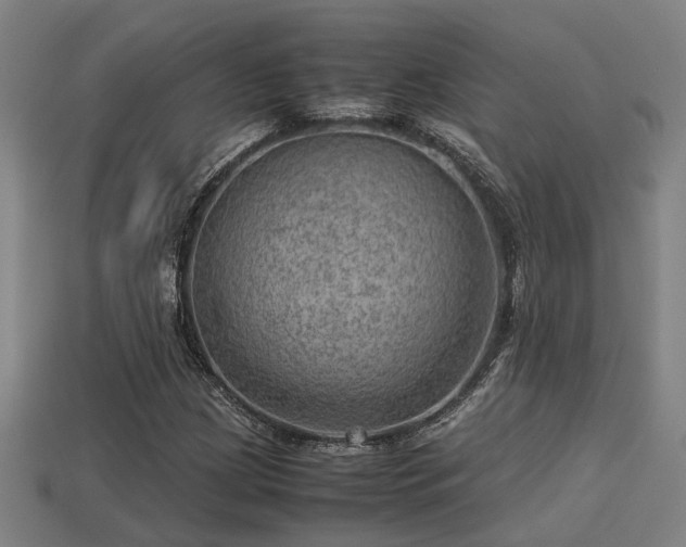 X0000113591209200909251129