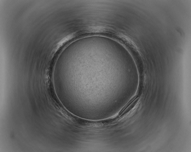 X0000113591210200909251129