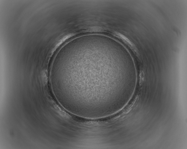 X0000113591212200909251129