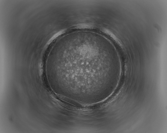 X0000113591213200909251129