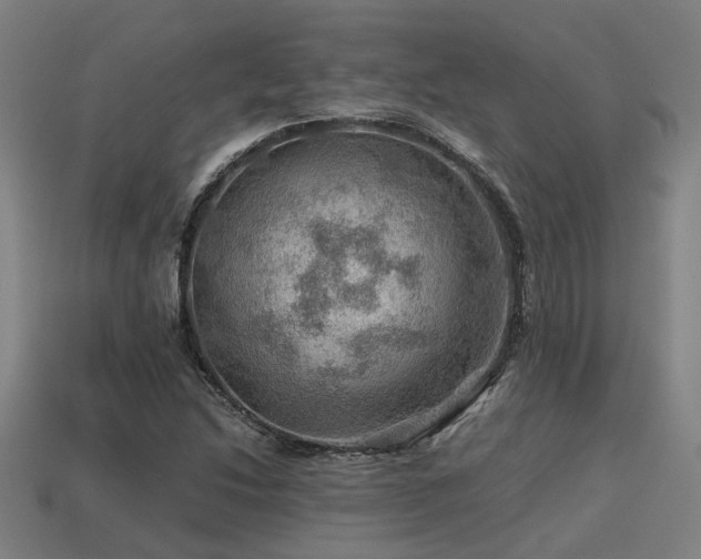 X0000113591214200909251129