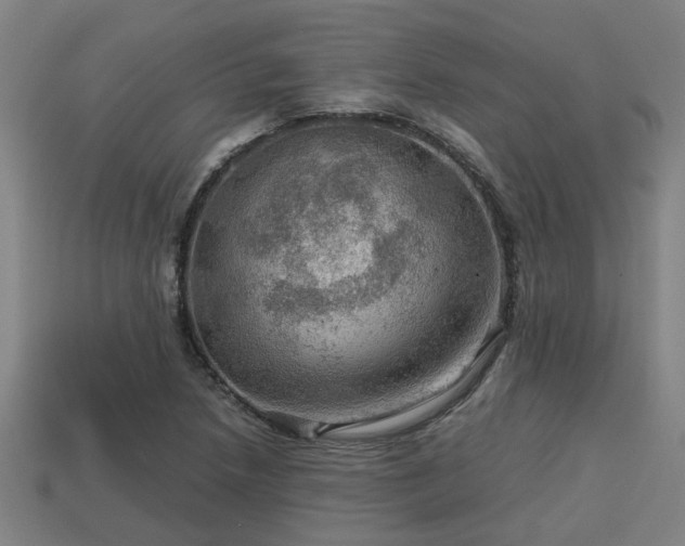 X0000113591218200909251129