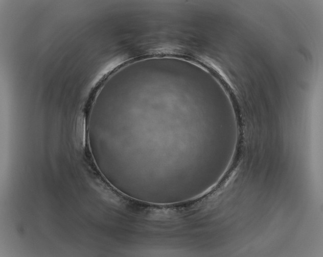 X0000113591219200909251129