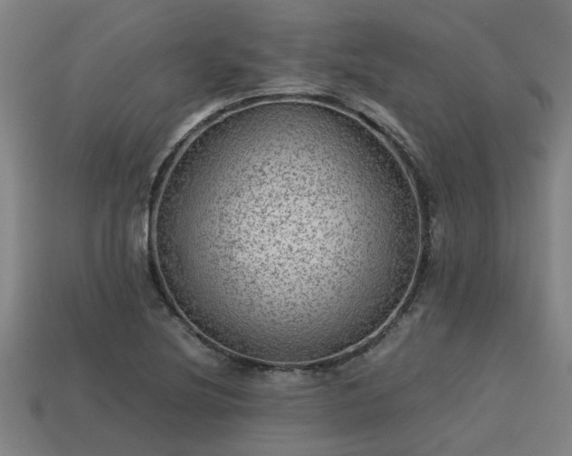 X0000113591220200909251129