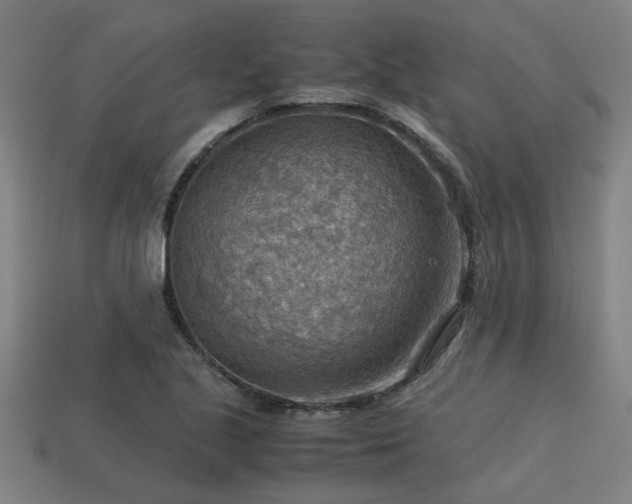 X0000113591221200909251129