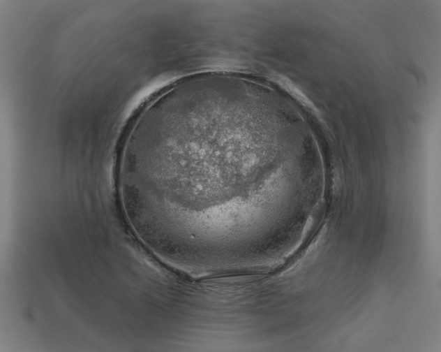 X0000113591222200909251129