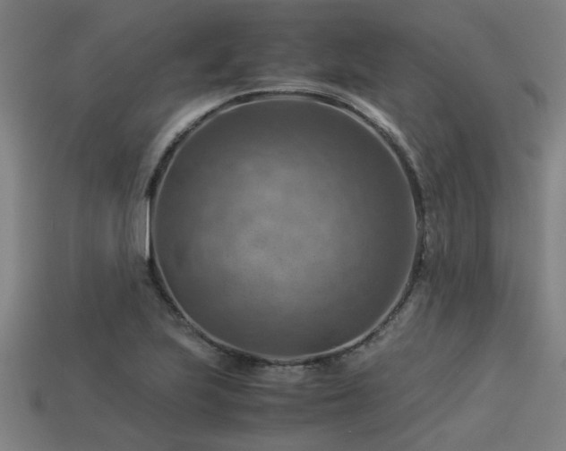 X0000113591223200909251129