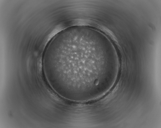 X0000113591226200909251129