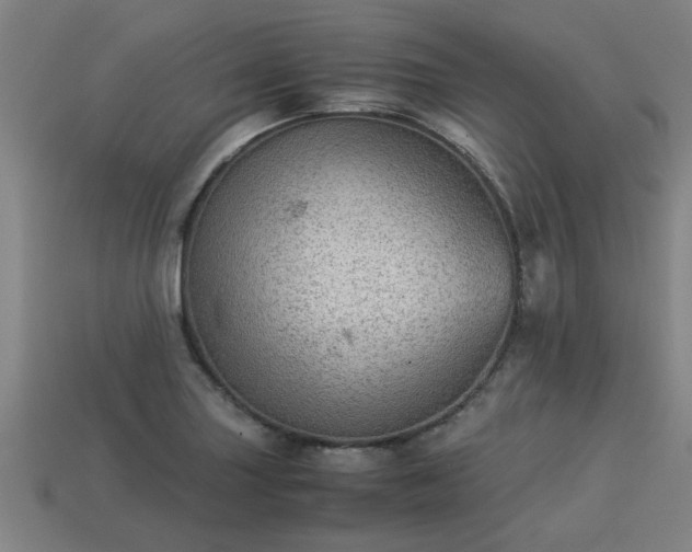 X0000113591227200909251129