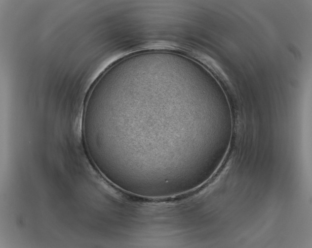 X0000113591228200909251129