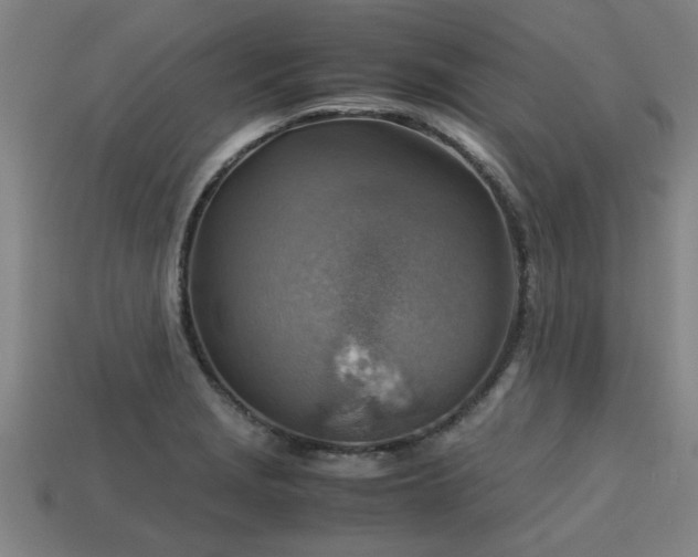 X0000113591229200909251129