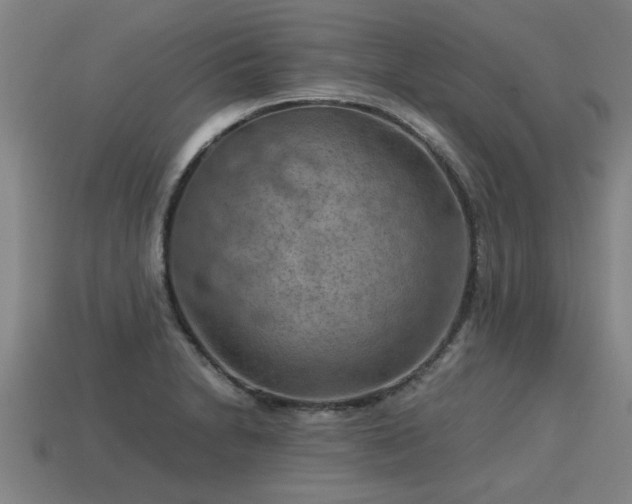 X0000113591230200909251129