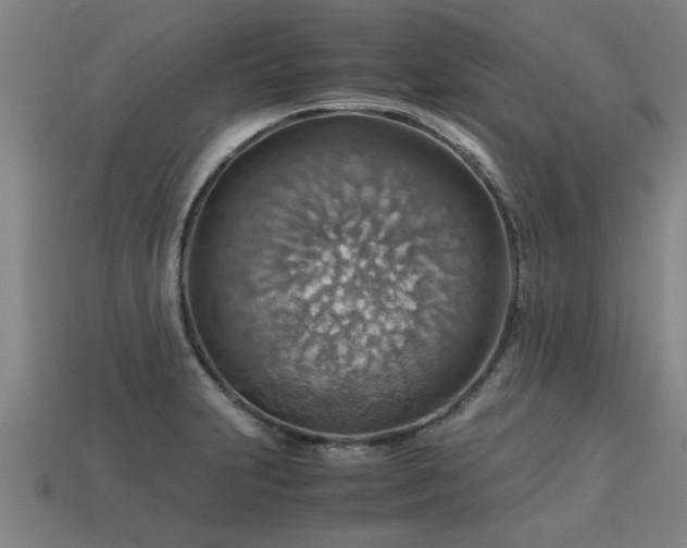 X0000113591231200909251129