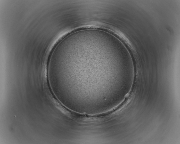 X0000113591232200909251129