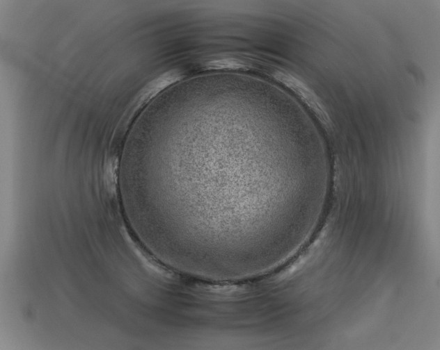 X0000113591233200909251129