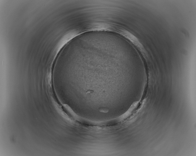 X0000113591234200909251129