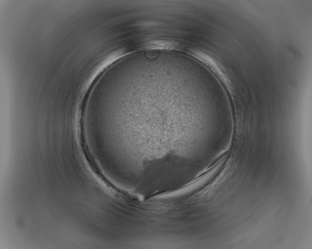 X0000113591235200909251129