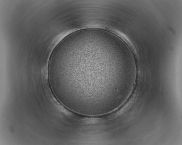 X0000113591236200909251129