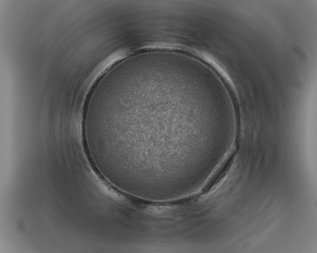 X0000113591237200909251129