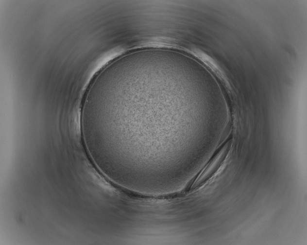 X0000113591238200909251129