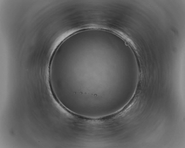 X0000113591239200909251129