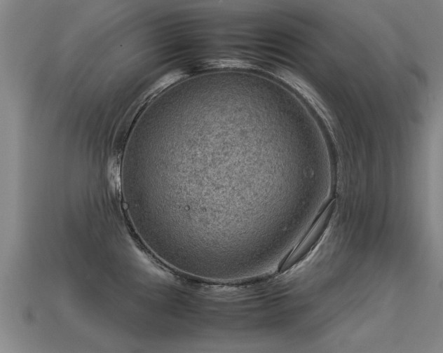 X0000113591241200909251129