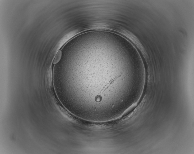 X0000113591242200909251129