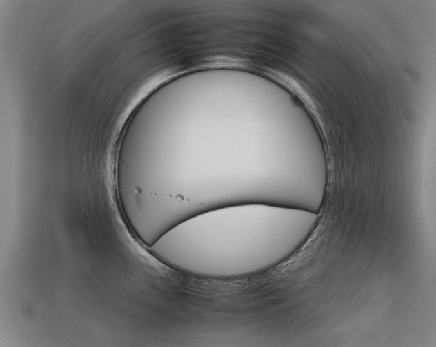 X0000113591243200909251129