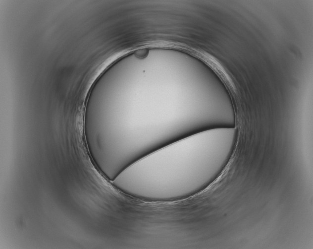 X0000113591244200909251129