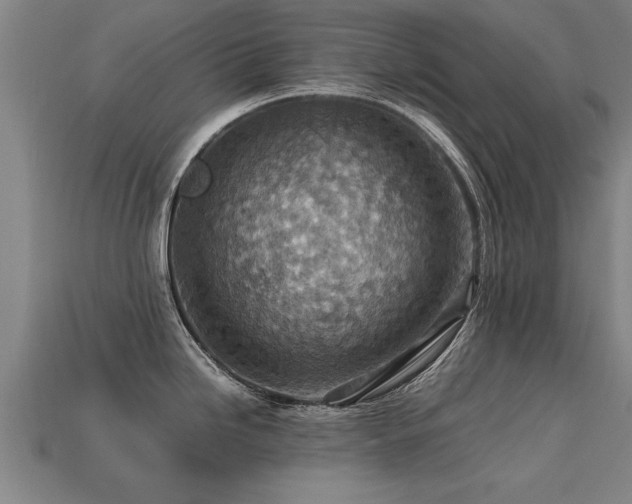 X0000113591246200909251129