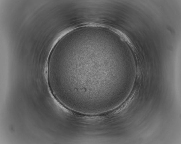 X0000113591247200909251129