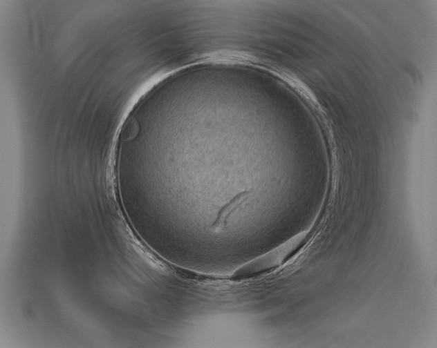 X0000113591248200909251129