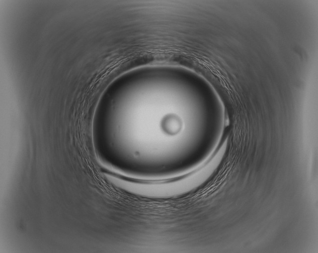 X0000113591249200909251128