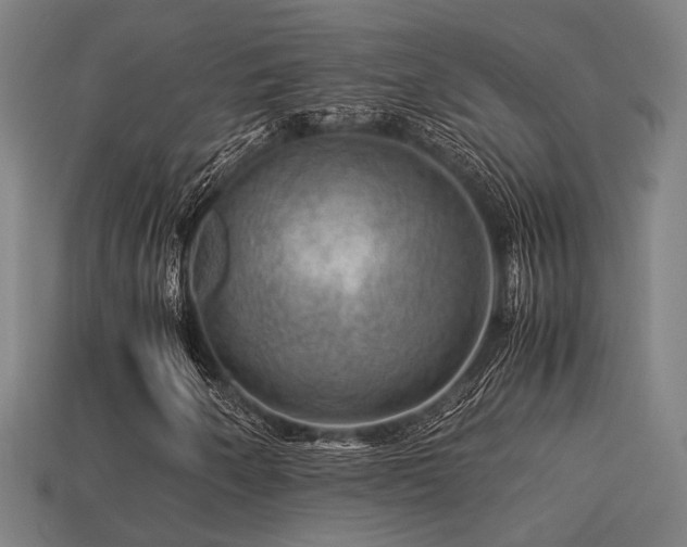 X0000113591250200909251128