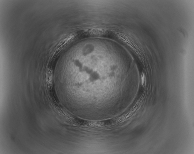 X0000113591251200909251128