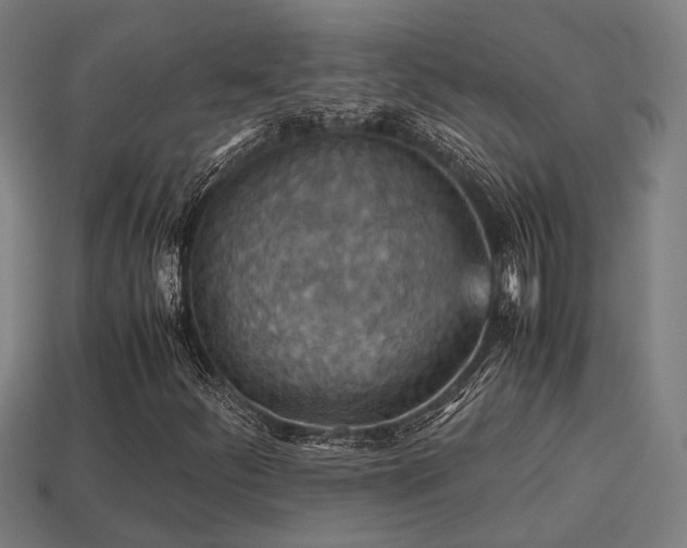 X0000113591252200909251128