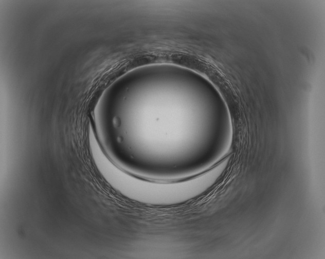 X0000113591253200909251128