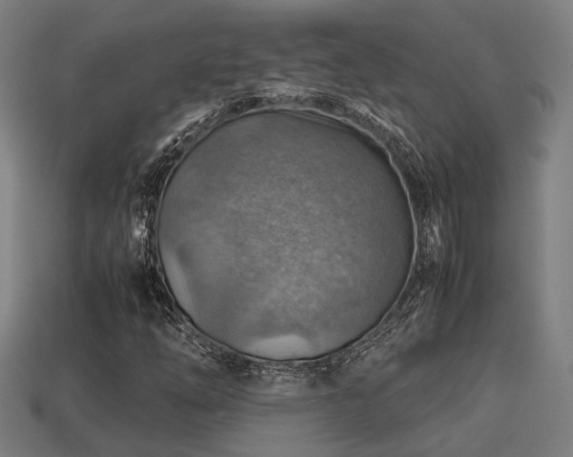 X0000113591254200909251128