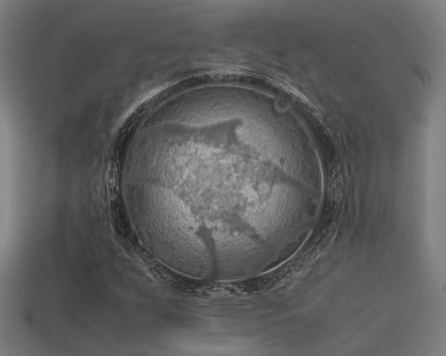 X0000113591255200909251128