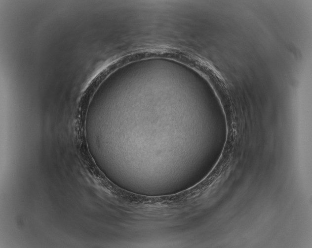 X0000113591256200909251128