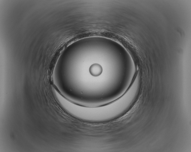 X0000113591257200909251128