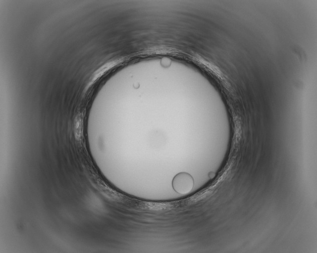 X0000113591258200909251128