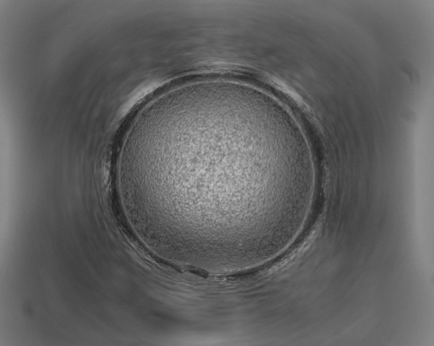 X0000113591259200909251128