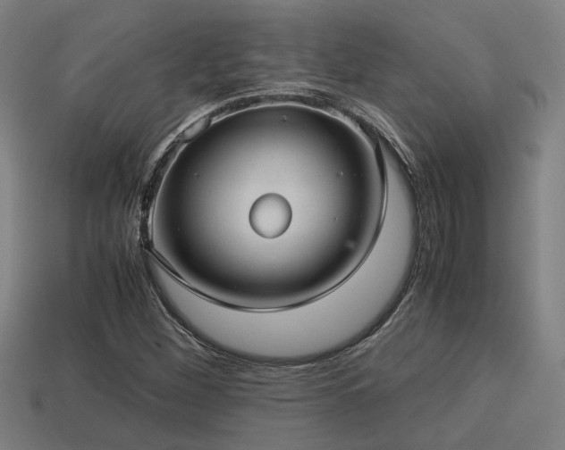 X0000113591260200909251128